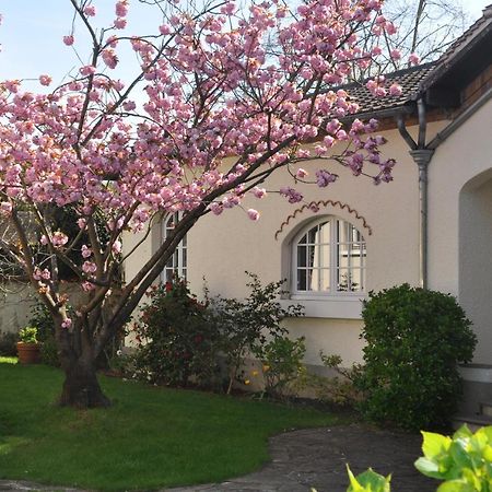 Saint-Maur-des-Fossés Maison D'Hotes Paris Riverside מראה חיצוני תמונה